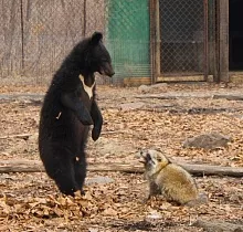 Фото дня 3 тура Владивосток  сити – тур выходного дня