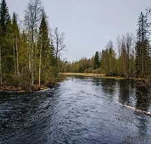 ополнительное фото тура 