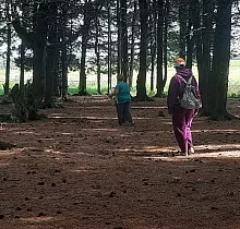 ополнительное фото тура 