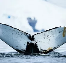 ополнительное фото тура 