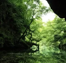 ополнительное фото тура 