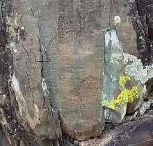 ополнительное фото тура 