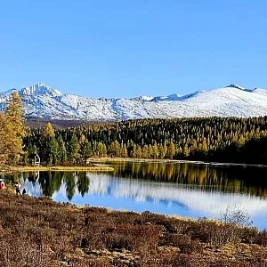 Фото отзыва