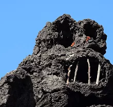 ополнительное фото тура 