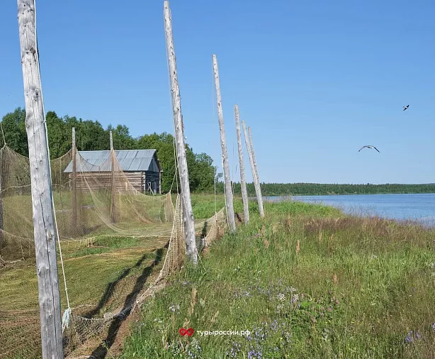 Изображение статьи Поморское село Кузомень в Мурманской области: как добраться и что посмотреть Туры России