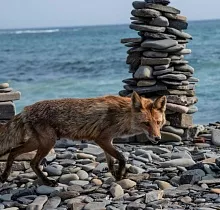Фото дня 3 тура Весенняя рапсодия