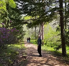 Фото дня 2 тура Весенняя рапсодия