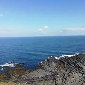 Фото отзыва
