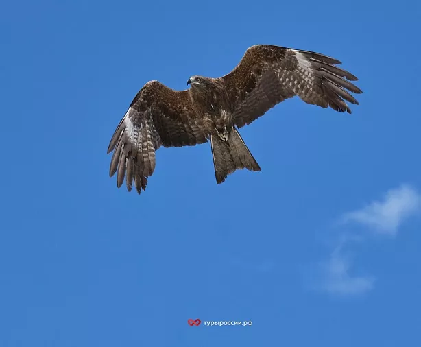 Изображение статьи Отдых в Республике Тыва: как добраться, где жить, что посмотреть Туры России