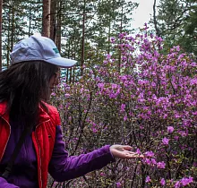 ополнительное фото тура 