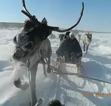 ополнительное фото тура 