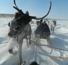 ополнительное фото тура