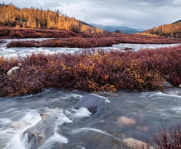 Изображение статьи Колыма: Озеро Джека Лондона. Как добраться, что посмотреть туристу. Туры России