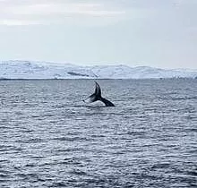 ополнительное фото тура 