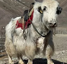 ополнительное фото тура 