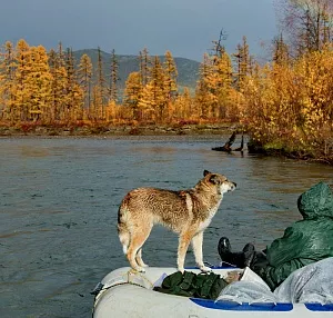 Колыма: сплав и рыбалка по р. Большая Купка, Магаданская область