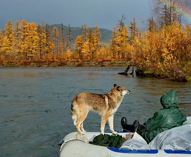 Изображение статьи Колыма: сплав и рыбалка по р. Большая Купка, Магаданская область Туры России