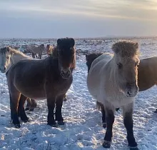 ополнительное фото тура 