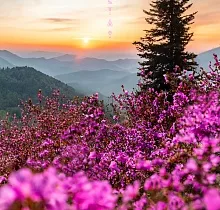 ополнительное фото тура 