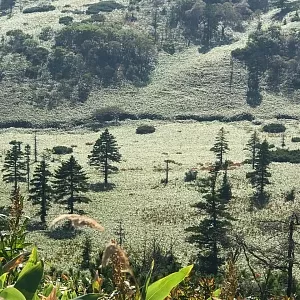 Фото отзыва