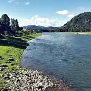 Фото отзыва
