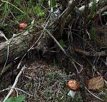 ополнительное фото тура 