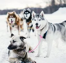 ополнительное фото тура 