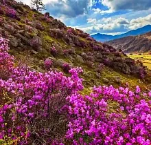 ополнительное фото тура 