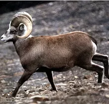 ополнительное фото тура 