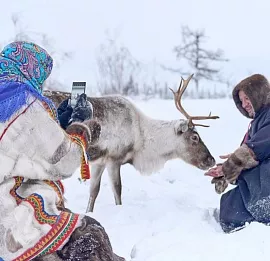 Тур Ямал: Посещение стойбищ оленеводов