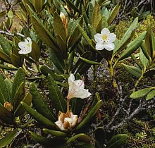 ополнительное фото тура 