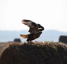 ополнительное фото тура