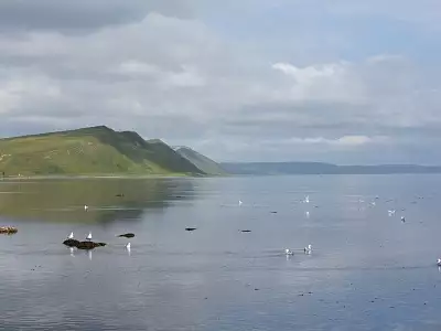 Командорские Острова