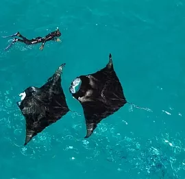 Тур Туры на Мальдивы из Москвы 