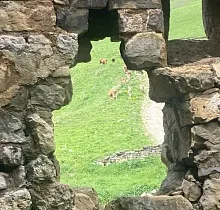 ополнительное фото тура 