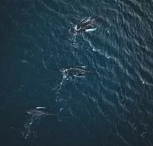 ополнительное фото тура 