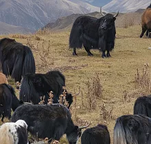 ополнительное фото тура 