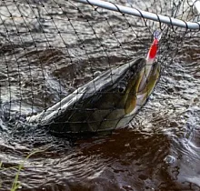 ополнительное фото тура 