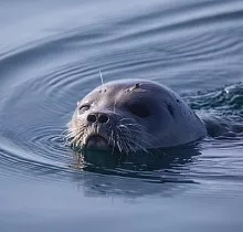 ополнительное фото тура 