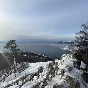 Фото отзыва