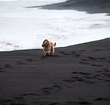 ополнительное фото тура 