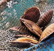 ополнительное фото тура 