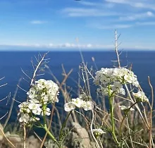 ополнительное фото тура 