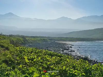 Пейзажи острова Парамушир и вулкана Эбеко