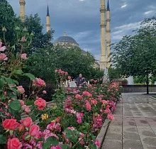 ополнительное фото тура