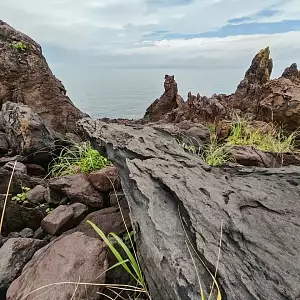 Фото отзыва