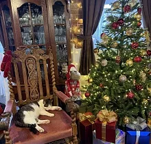 ополнительное фото тура 