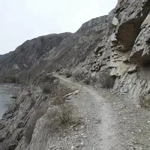 Фото отзыва