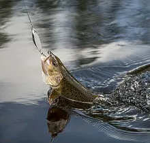 ополнительное фото тура 