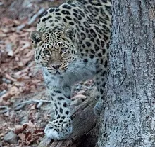 ополнительное фото тура 